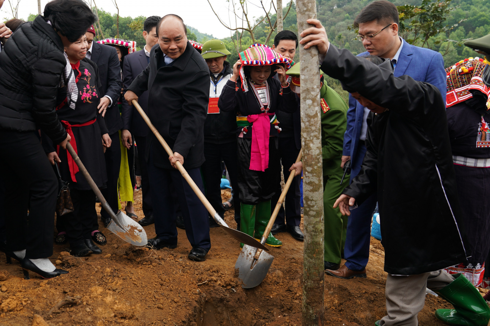 Tăng cường bảo vệ, phát triển rừng ngay từ đầu năm 2021